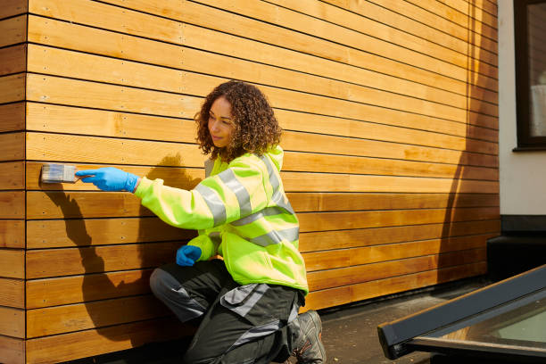 Affordable Siding Repair and Maintenance Services in Mammoth, AZ